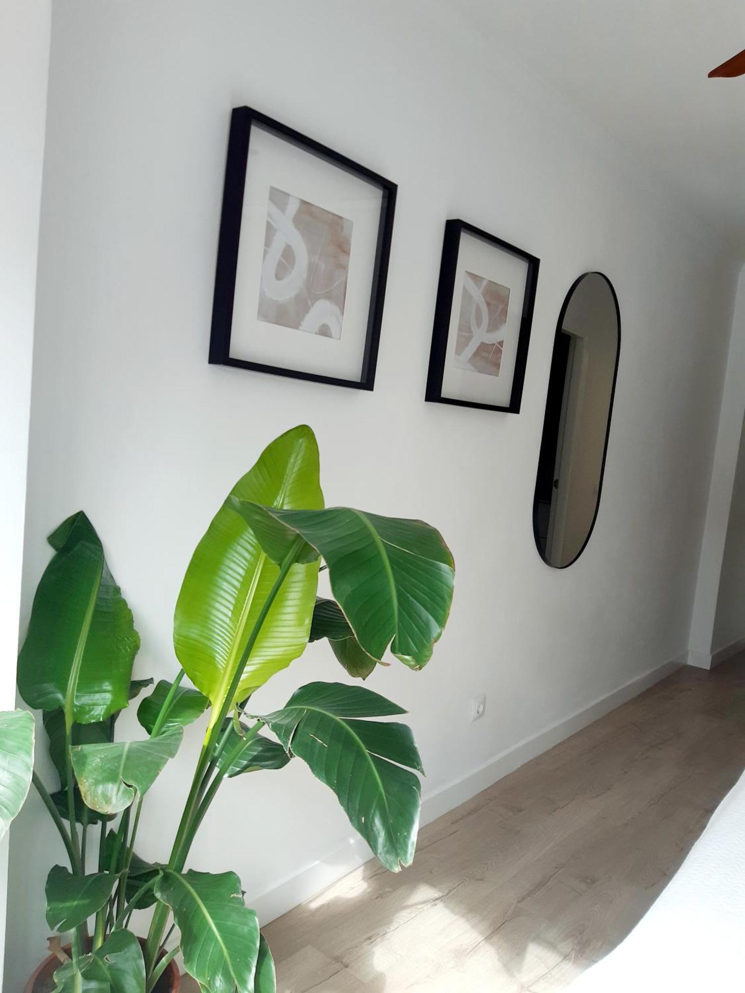 Impressive Apartment With 3 Bedrooms Metres From The Beach Естепона Екстериор снимка